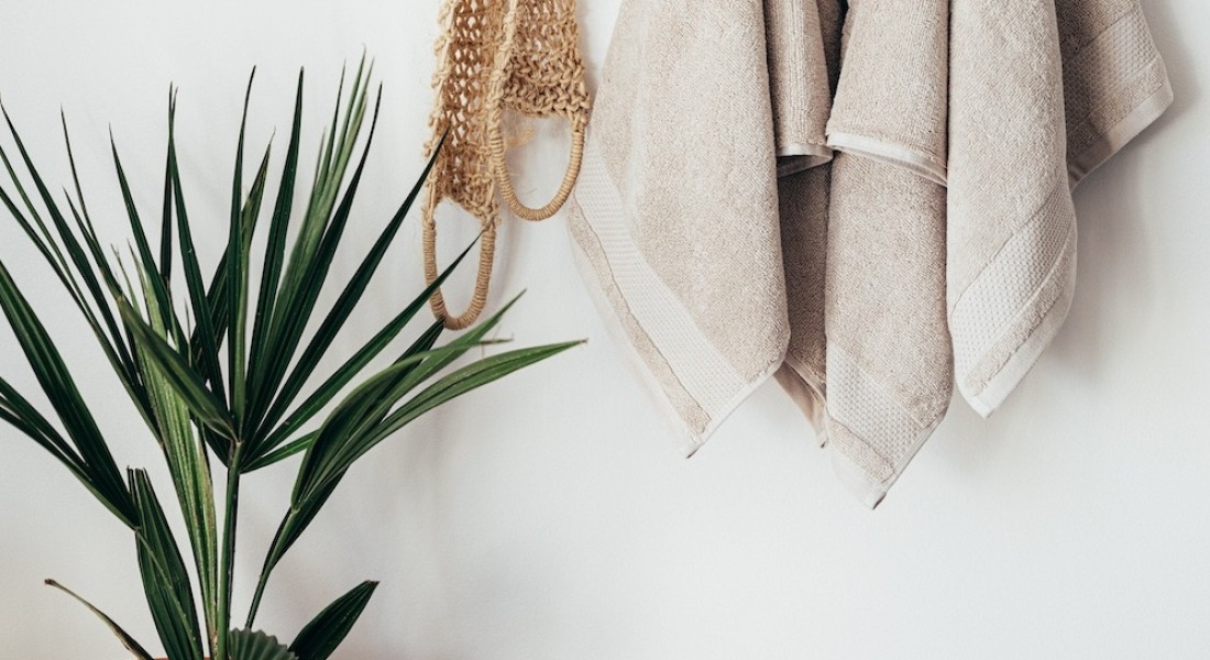 Groen oase in de badkamer: De perfecte planten