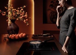 Inductiekookplaat met afzuiging Zero | Falmec