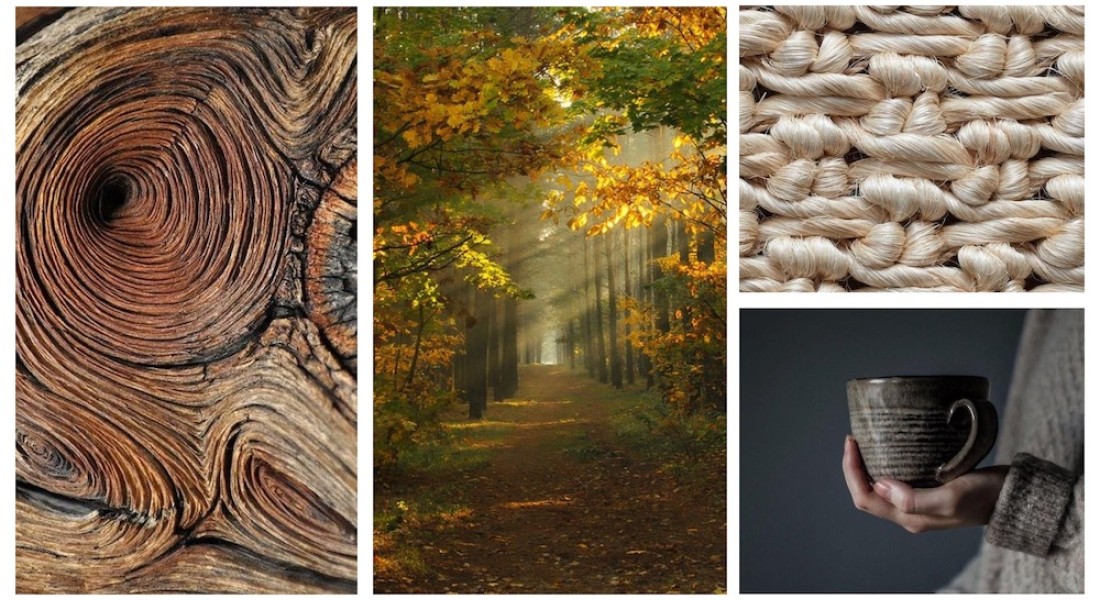 Moodboard Monday: FALLING INTO FALL
