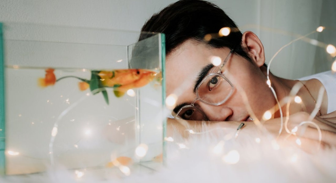 Welke filter heeft mijn aquarium nodig?