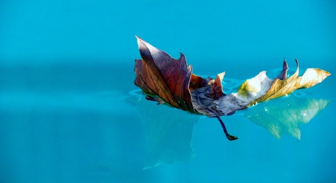 Maak uw zwembad winterklaar met deze tips