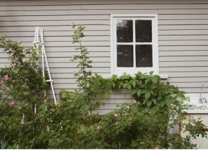 Meer opbergruimte in de tuin creëren: handige tips - 