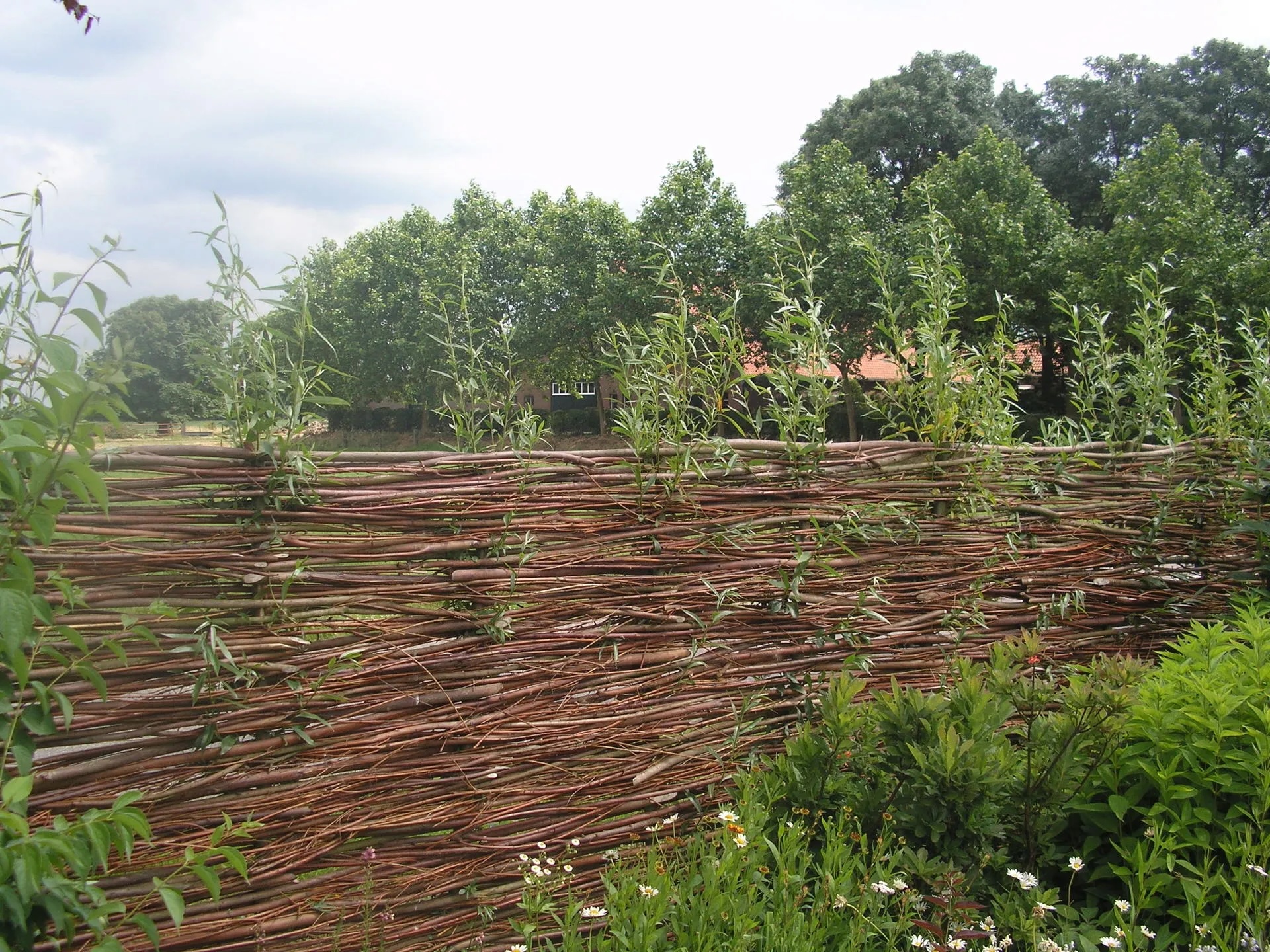 Onderhoudsarme schutting | Wilhout