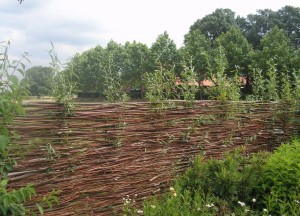 Onderhoudsarme schutting | Wilhout - Wilhout wilgentenen schuttingen