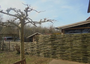 Onderhoudsarme schutting | Wilhout