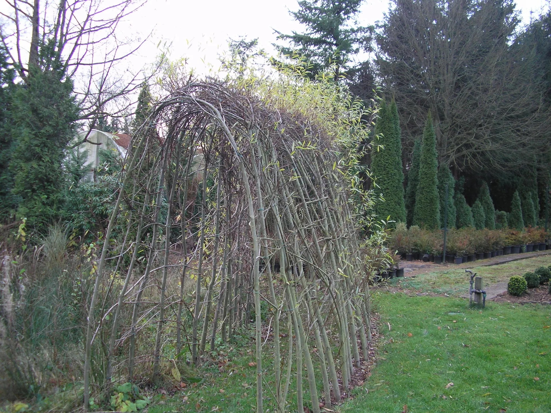 Moestuin afscherming | Wilhout