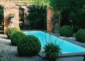 Zwemmen in drinkwater - Swimm