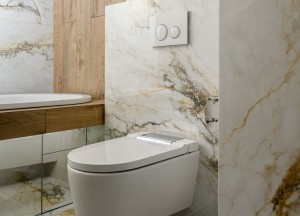 Upgrade je toilet met een douchewc - Geberit