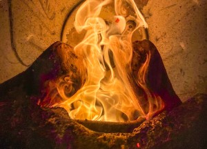 WoodFriend (houtblokken) voor pelletkachels - BlueSolid