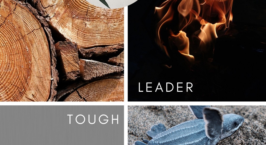 Moodboard: Stoer met een zachte touch