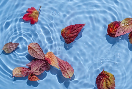 Ontdek de voordelen van een winterzeil voor het zwembad. - Compass Pools.