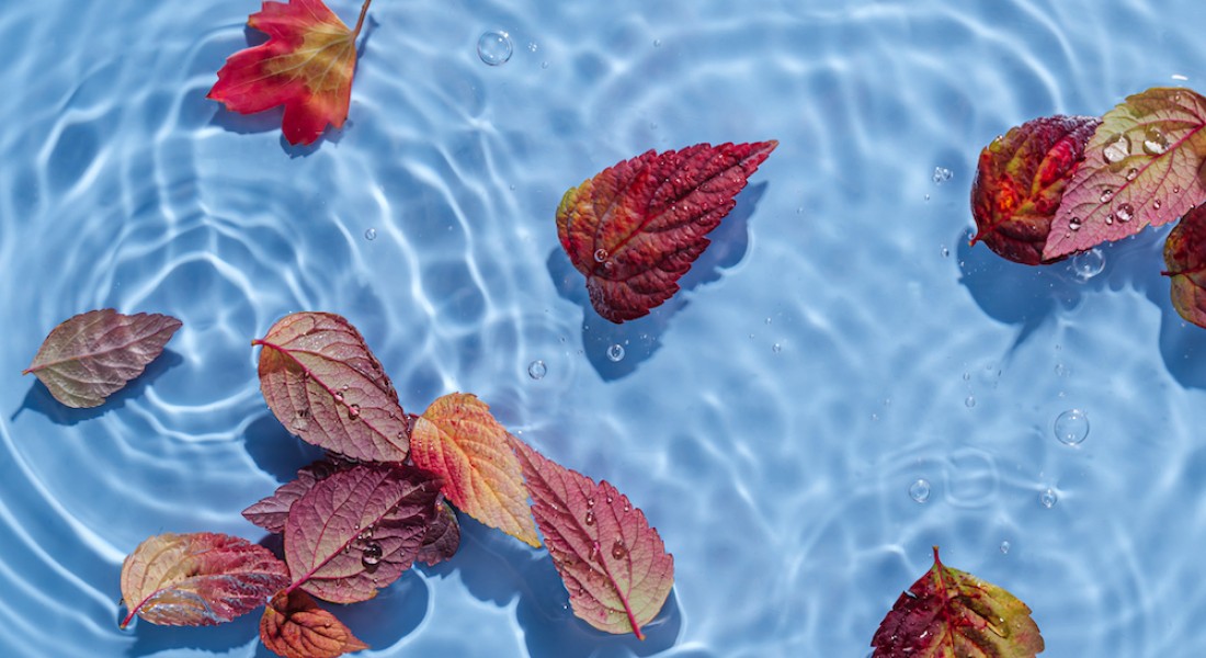 Ontdek de voordelen van een winterzeil voor het zwembad