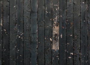 Alles over de kleur zwart in je tuin - 