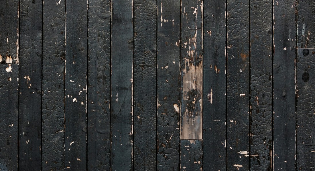 Alles over de kleur zwart in je tuin