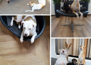 Veilig en duurzaam leven op een PVC vloer van TFD Floortile - 