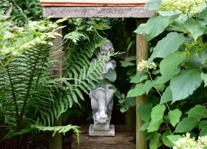 Minder onkruid met houtsnippers - 