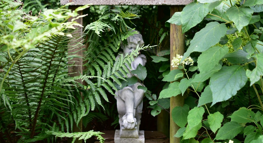 Minder onkruid met houtsnippers