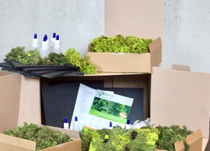 Mosbox workshop | Moswens - Moswens