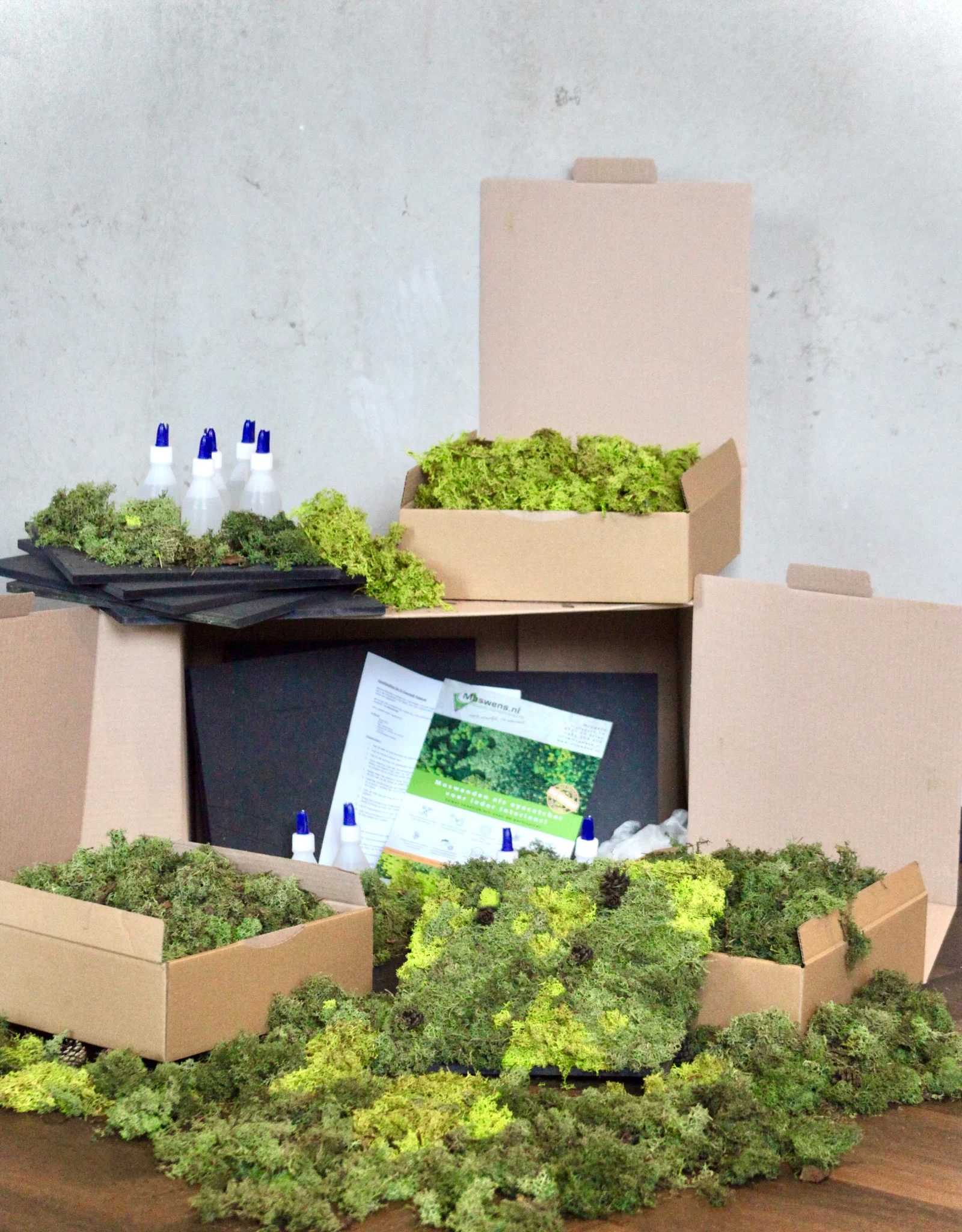 Mosbox workshop | Moswens