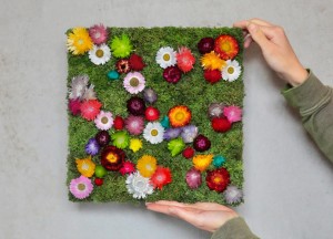 Mosbox workshop | Moswens