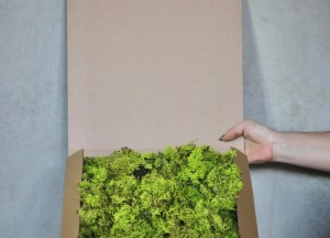 Mosbox workshop | Moswens