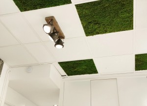 Mos plafondpanelen | Moswens
