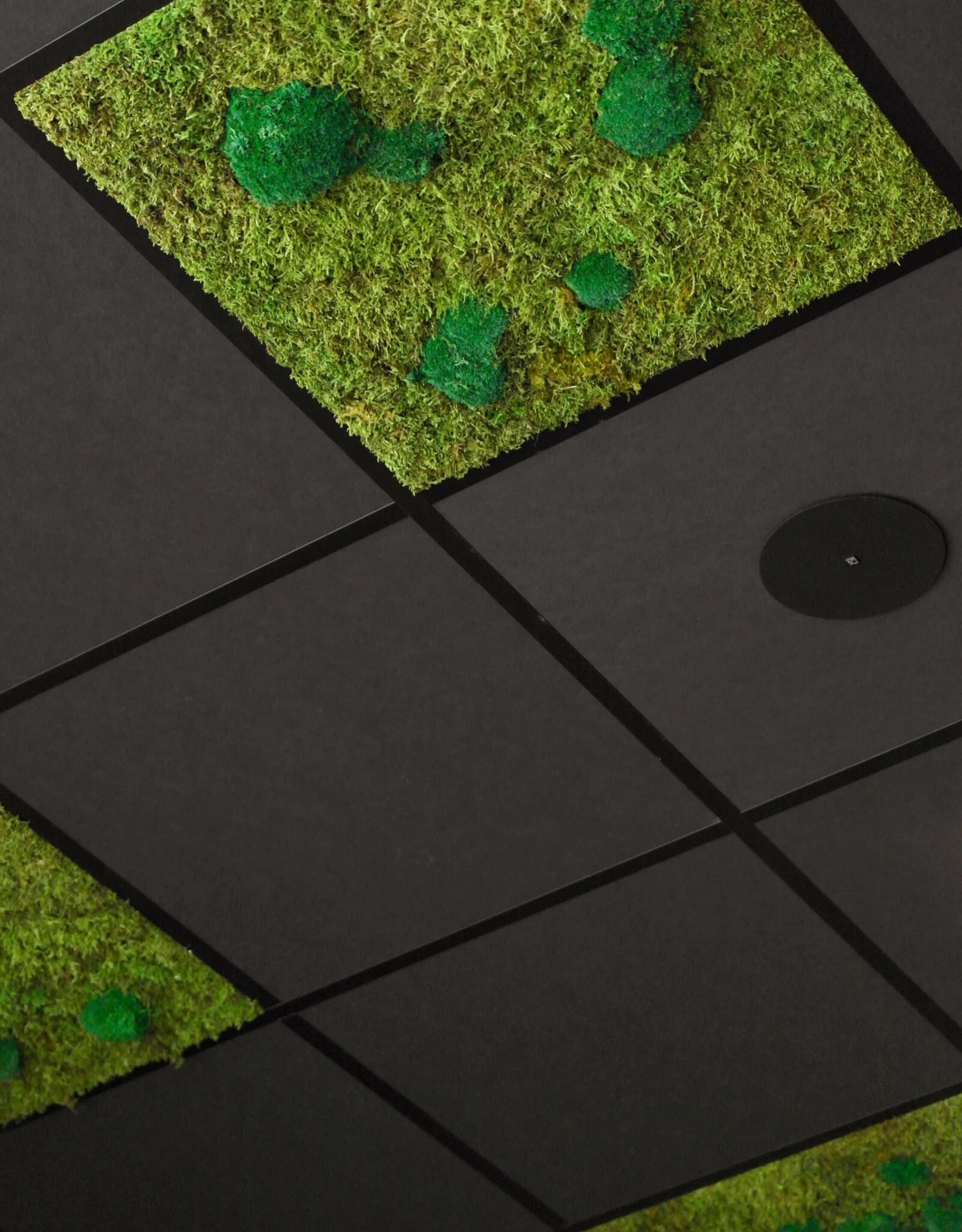 Mos plafondpanelen | Moswens