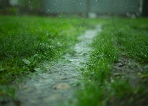 Wateroverlast in de tuin? Hier zijn 4 oplossingen die werken! - 