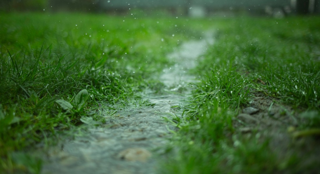 Wateroverlast in de tuin? Hier zijn 4 oplossingen die werken!