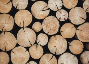 Schaf eenvoudig online hout aan voor je haard - 