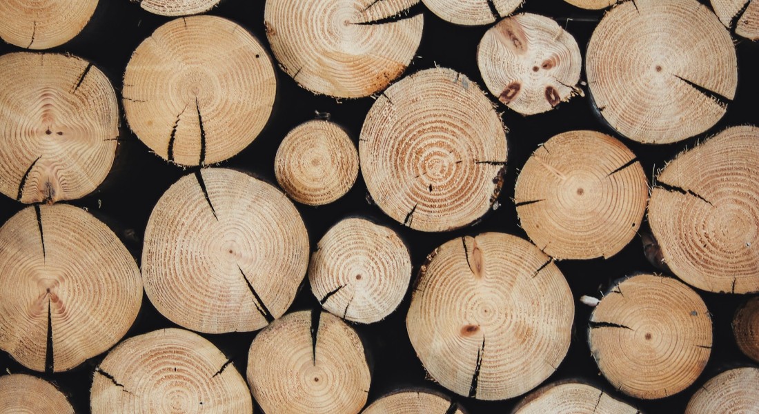 Schaf eenvoudig online hout aan voor je haard