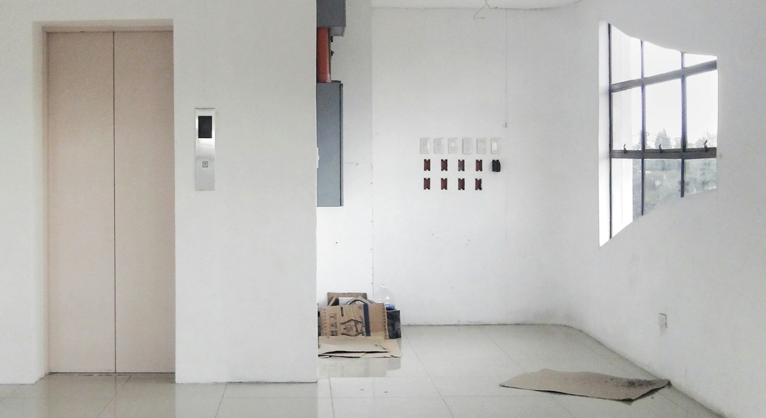 Een lift in huis: een stijgende trend