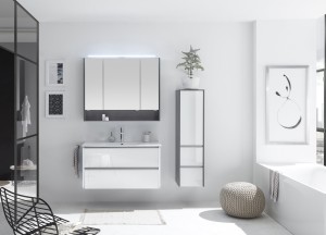 Badmeubel 6040 met glazen fronten | Pelipal