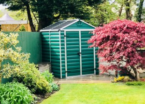 Het belang van biodiversiteit in de voortuin - 