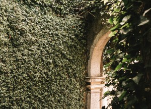 4 tips om je tuin nog meer te laten stralen - 