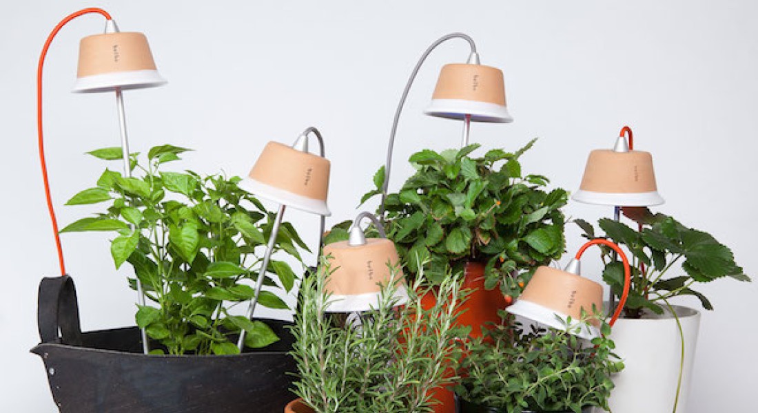 Het zonnetje in huis