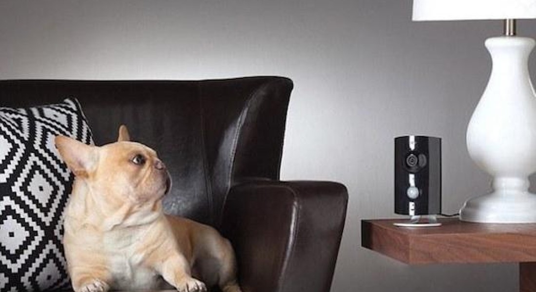 Digitale veiligheid voor alles