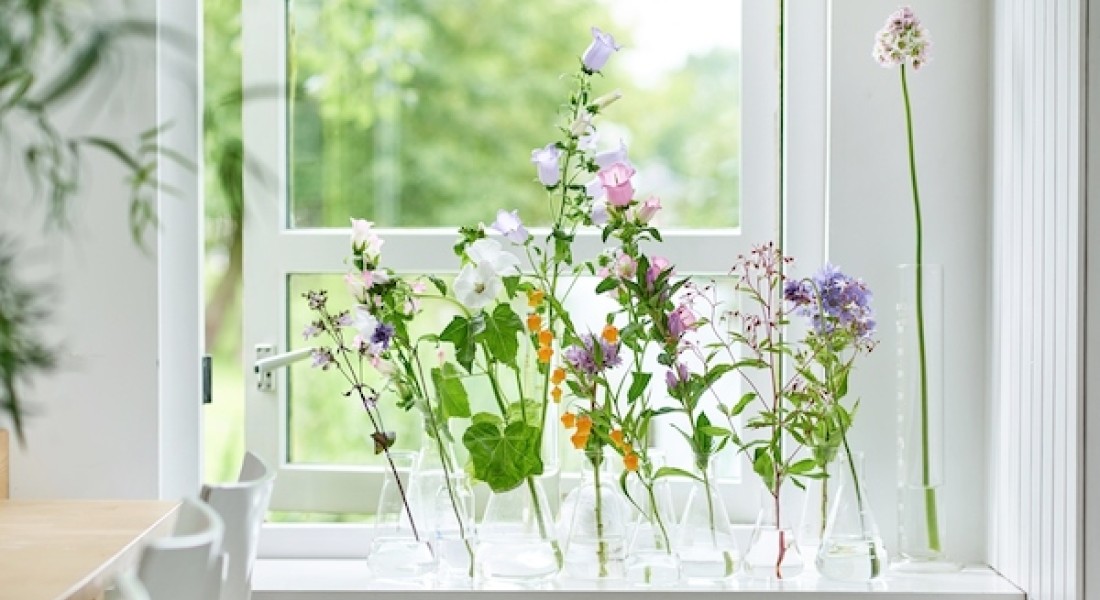 10 x creatief met zomerbloemen