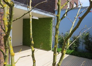 Een sfeervol groen terras met moswanden - Moswens
