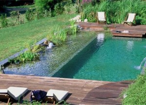 Zo krijg je een heldere biologische natuurvijver - 