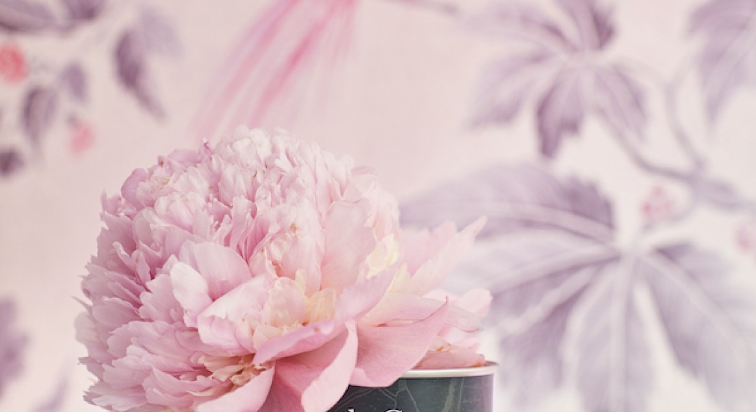 Pink collectie voor borstkankermaand