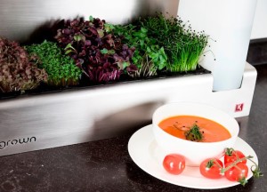 Cressen zijn gezonde smaakmakers - 