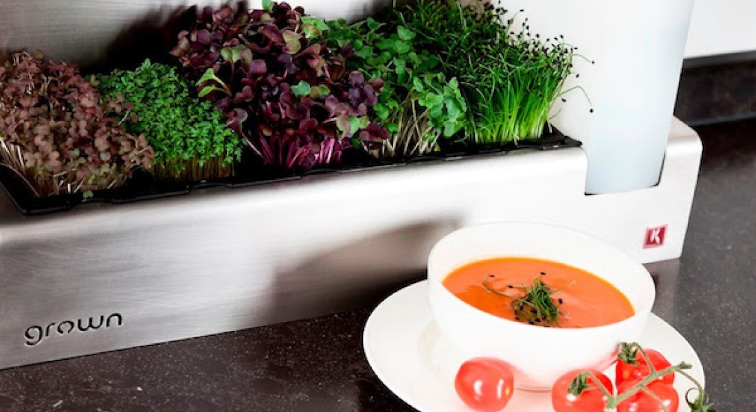 Cressen zijn gezonde smaakmakers