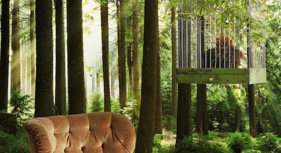 Al tien jaar groot in behang