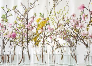 Kleur- & geurgids: voor een fijne voorjaarssfeer - 