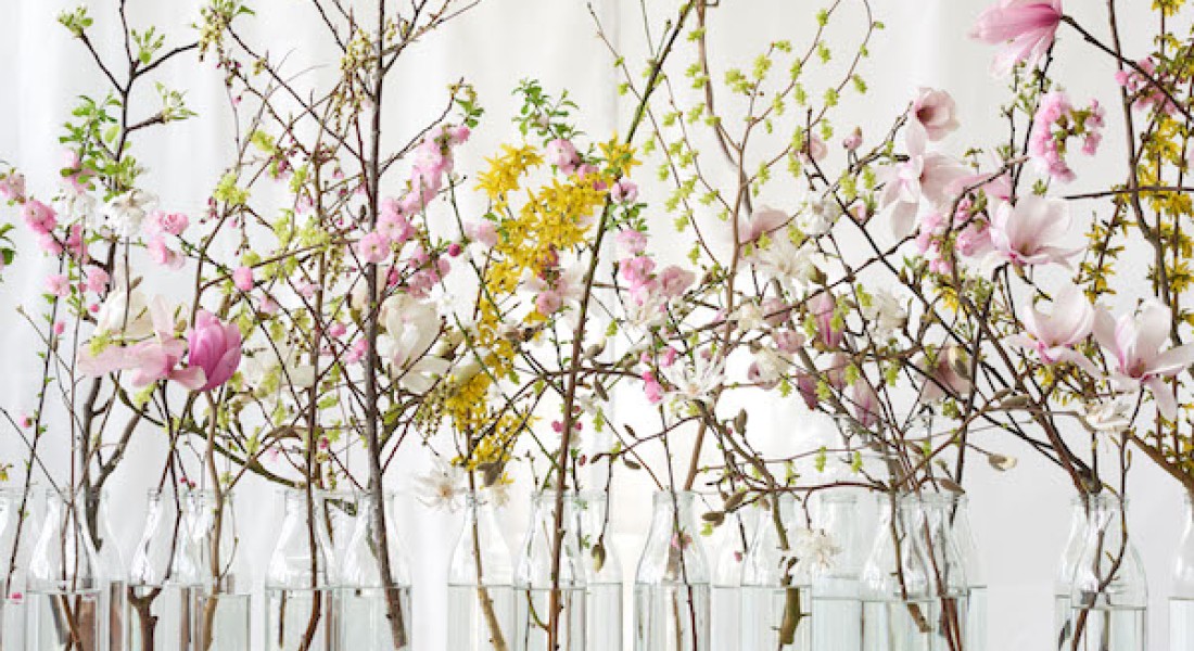 Kleur- & geurgids: voor een fijne voorjaarssfeer