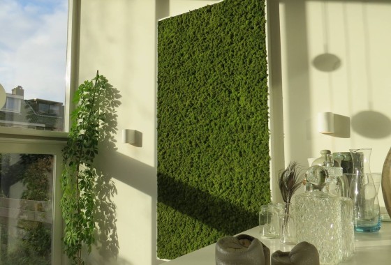 Groen aan de muur - Moswens