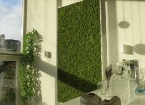 Groen aan de muur - Moswens