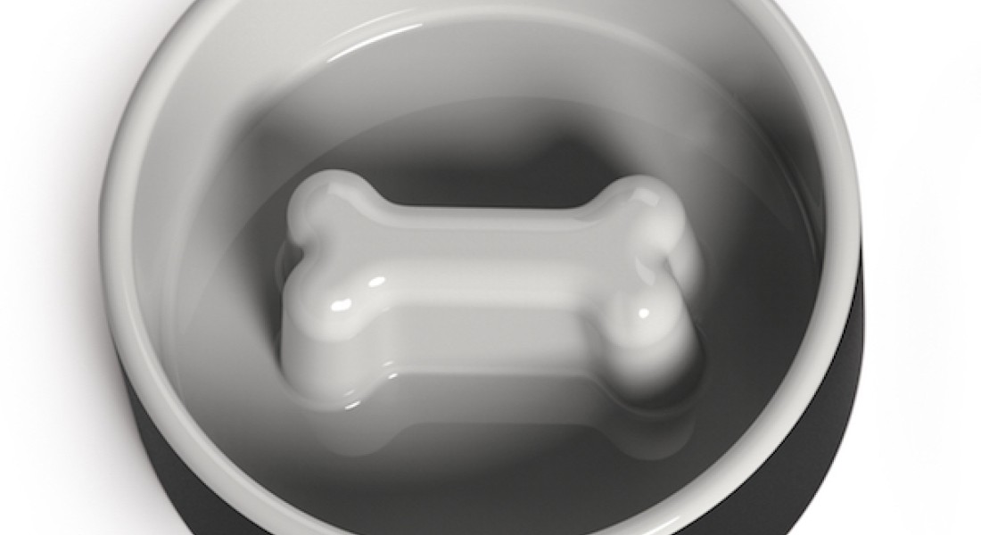 Slimme eet- & drinkbakken voor honden