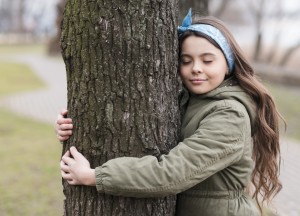 3 redenen waarom boomverzorging nodig is - 